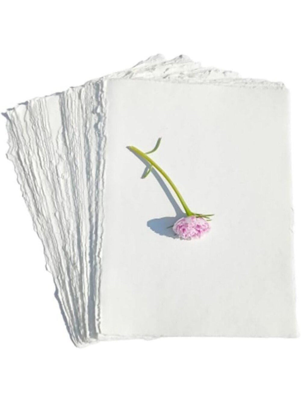 Ivory White Loose Leaf Deckle Edge Paper Sheets for Calligraphy & Crafts, 8x10